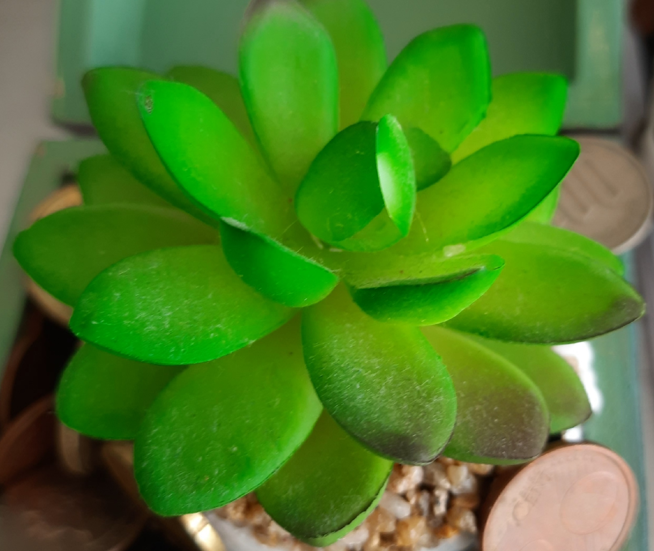 Conscious Money – Part 1